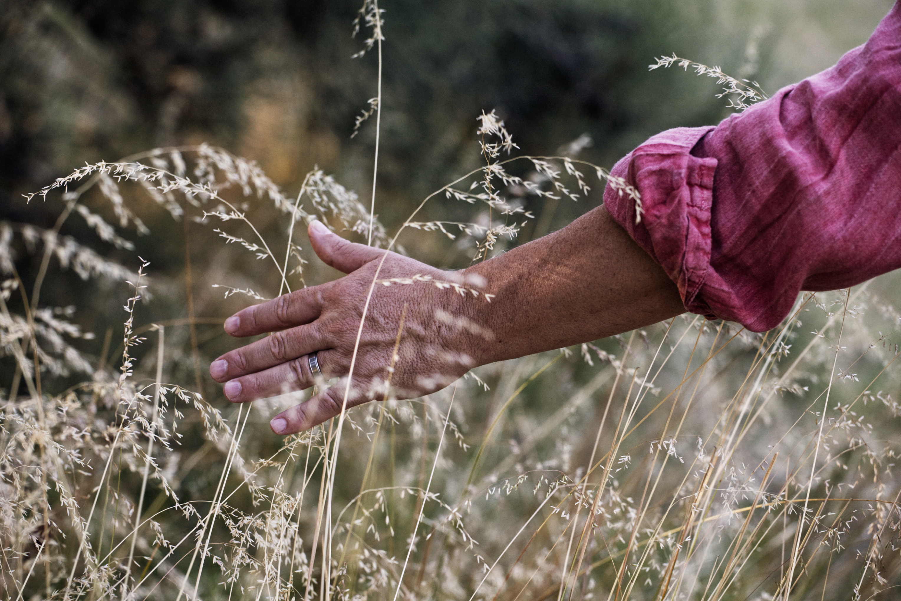 Spiritualist, Spirituality, Spiritual awakening, Spiritual health, Spiritual healing, Spiritual retreats, Spirit Realm, Spiritual connection, Spirit, Spiritual Guru, Spiritual teacher, Spiritual guide, Spiritual advisior, Spiritual self, Spiritual values, Spiritual goals, Psychic mediumship courses Trance mediumship online workshops Online psychic mediumship classes Spiritual healing courses proven psychic medium psychic mediumship circles best psychic reading Perth psychic mediumship Trance mediumship USA Trance mediumship Australia psychic development courses Trance mediumship online Experimental trance mediumship Trance mediumship teacher Spiritual guide services Meditation for spiritual growth Psychic development and intuition Spiritualism and personal growth Connecting with the higher self Enhancing psychic senses Developing mediumship skills medium mediumship psychic medium trance medium spiritual Spiritual teacher spiritual healing spiritual awareness spiritual awakening spiritual development spiritual