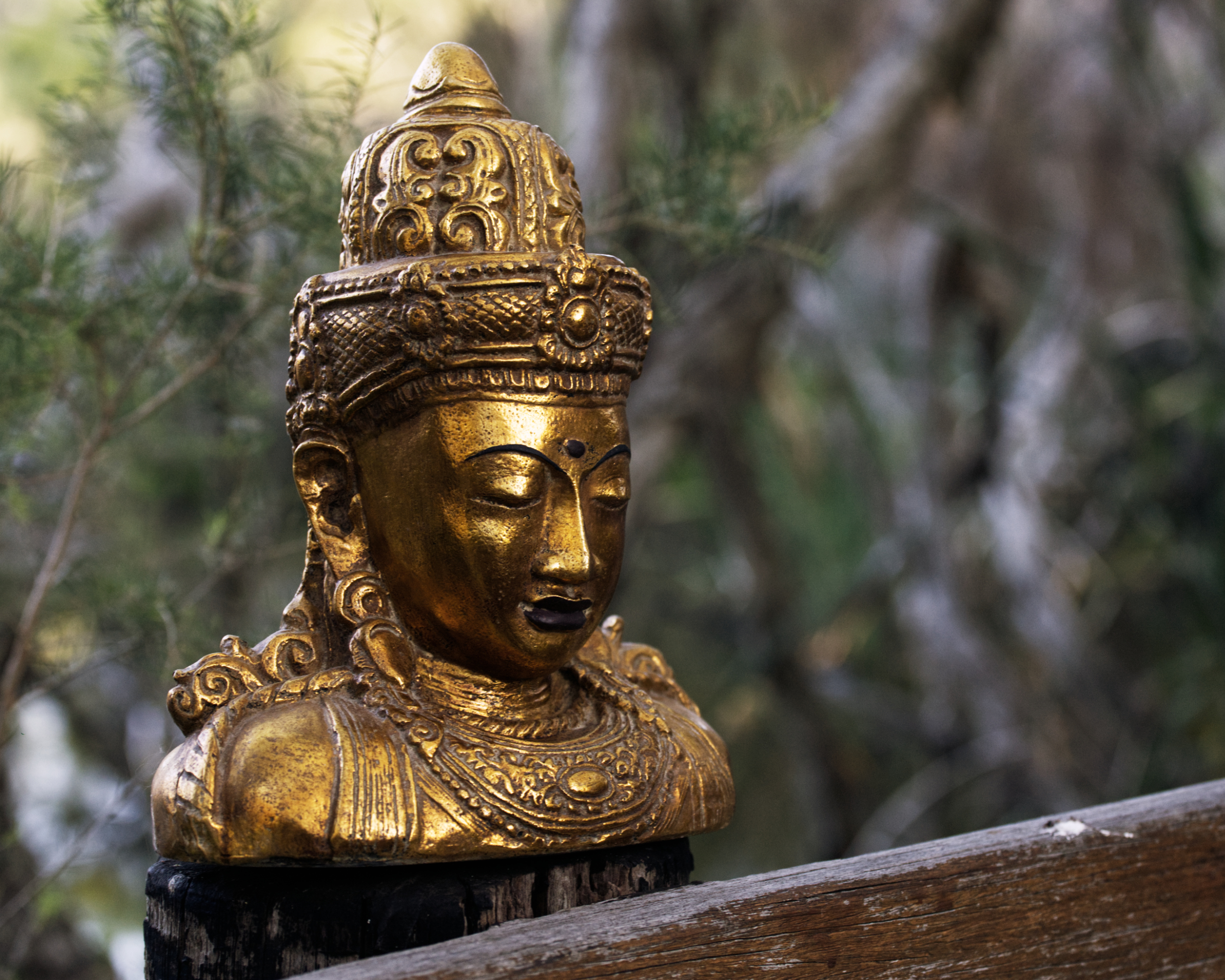 Spiritualist, Spirituality, Spiritual awakening, Spiritual health, Spiritual healing, Spiritual retreats, Spirit Realm, Spiritual connection, Spirit, Spiritual Guru, Spiritual teacher, Spiritual guide, Spiritual advisior, Spiritual self, Spiritual values, Spiritual goals, Psychic mediumship courses Trance mediumship online workshops Online psychic mediumship classes Spiritual healing courses proven psychic medium psychic mediumship circles best psychic reading Perth psychic mediumship Trance mediumship USA Trance mediumship Australia psychic development courses Trance mediumship online Experimental trance mediumship Trance mediumship teacher Spiritual guide services Meditation for spiritual growth Psychic development and intuition Spiritualism and personal growth Connecting with the higher self Enhancing psychic senses Developing mediumship skills medium mediumship psychic medium trance medium spiritual Spiritual teacher spiritual healing spiritual awareness spiritual awakening spiritual development spiritual